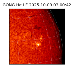 gong - 2025-10-09T03:00:42