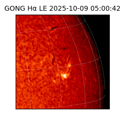 gong - 2025-10-09T05:00:42