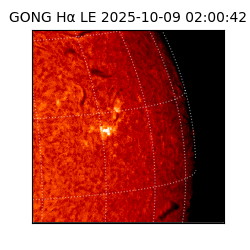 gong - 2025-10-09T02:00:42