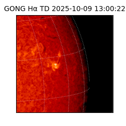 gong - 2025-10-09T13:00:22