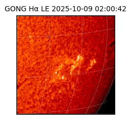 gong - 2025-10-09T02:00:42
