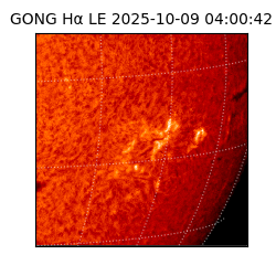 gong - 2025-10-09T04:00:42