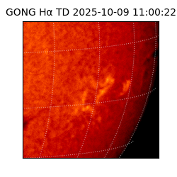 gong - 2025-10-09T11:00:22