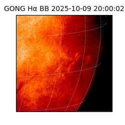 gong - 2025-10-09T20:00:02