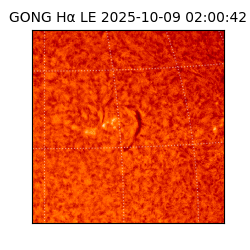 gong - 2025-10-09T02:00:42