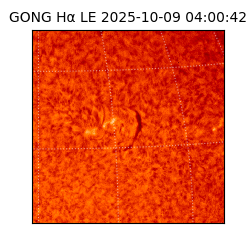 gong - 2025-10-09T04:00:42