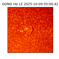 gong - 2025-10-09T05:00:42