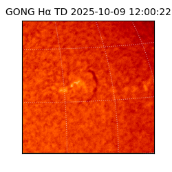 gong - 2025-10-09T12:00:22