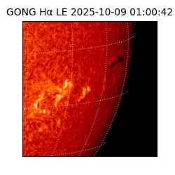 gong - 2025-10-09T01:00:42