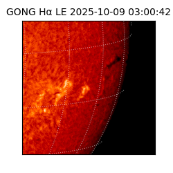 gong - 2025-10-09T03:00:42