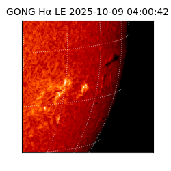 gong - 2025-10-09T04:00:42