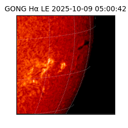 gong - 2025-10-09T05:00:42