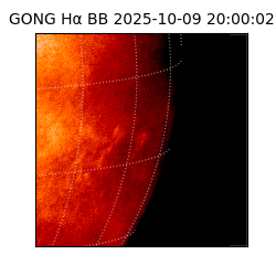 gong - 2025-10-09T20:00:02