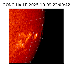 gong - 2025-10-09T23:00:42