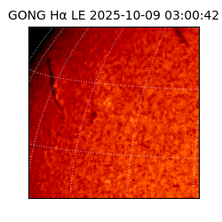 gong - 2025-10-09T03:00:42