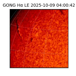 gong - 2025-10-09T04:00:42