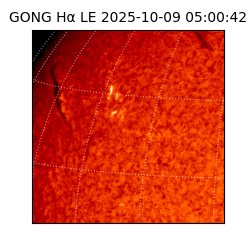 gong - 2025-10-09T05:00:42