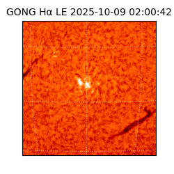 gong - 2025-10-09T02:00:42