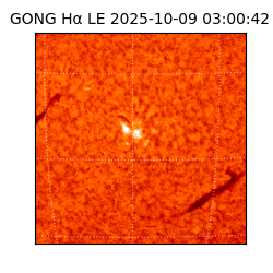 gong - 2025-10-09T03:00:42
