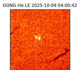 gong - 2025-10-09T04:00:42