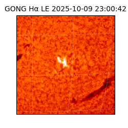 gong - 2025-10-09T23:00:42