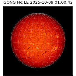 gong - 2025-10-09T01:00:42