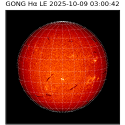 gong - 2025-10-09T03:00:42