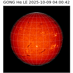 gong - 2025-10-09T04:00:42