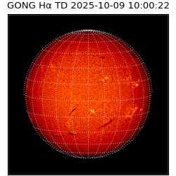 gong - 2025-10-09T10:00:22