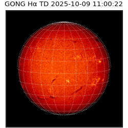 gong - 2025-10-09T11:00:22