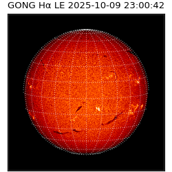 gong - 2025-10-09T23:00:42
