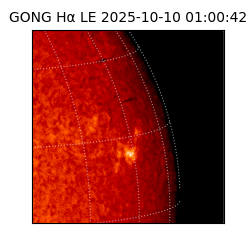 gong - 2025-10-10T01:00:42