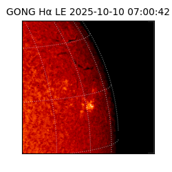 gong - 2025-10-10T07:00:42