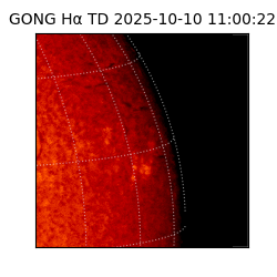 gong - 2025-10-10T11:00:22