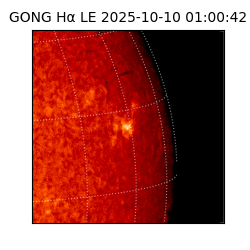 gong - 2025-10-10T01:00:42