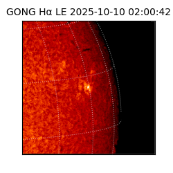 gong - 2025-10-10T02:00:42