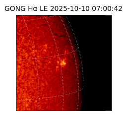 gong - 2025-10-10T07:00:42