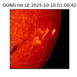 gong - 2025-10-10T01:00:42