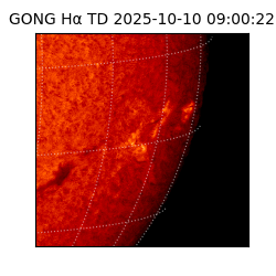 gong - 2025-10-10T09:00:22