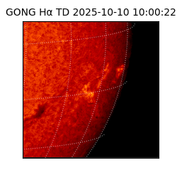 gong - 2025-10-10T10:00:22