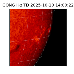 gong - 2025-10-10T14:00:22