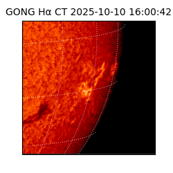 gong - 2025-10-10T16:00:42