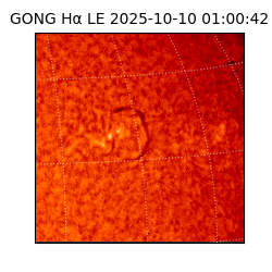 gong - 2025-10-10T01:00:42