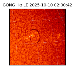 gong - 2025-10-10T02:00:42