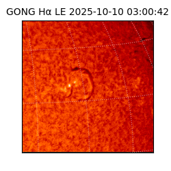 gong - 2025-10-10T03:00:42