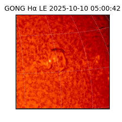 gong - 2025-10-10T05:00:42