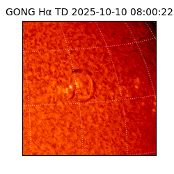 gong - 2025-10-10T08:00:22