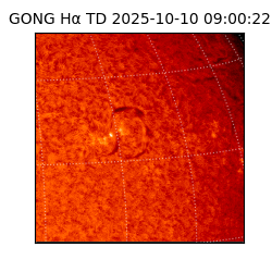gong - 2025-10-10T09:00:22