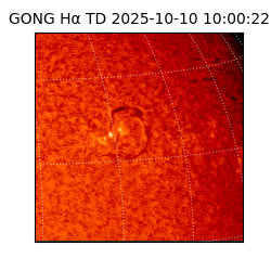 gong - 2025-10-10T10:00:22