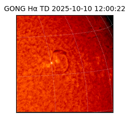 gong - 2025-10-10T12:00:22